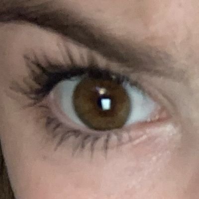 EnzoKylgor's profile picture. Author