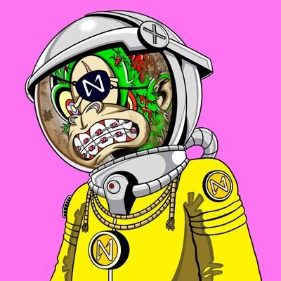 Zmaj911's profile picture. Crypto/NFTs