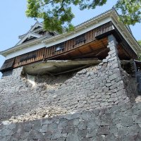 こじま (@mayu_monmon) 's Twitter Profile