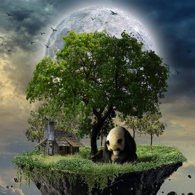 CryptoStarc22's profile picture. NFT Enthusiast | Web3 Community Manager | Project Advisor | Social Media #Crypto #NFT Promoter | No Financial Advice |  ✉ DM for #Business 🤝