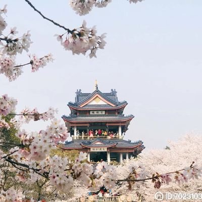 Annie52386843's profile picture. started