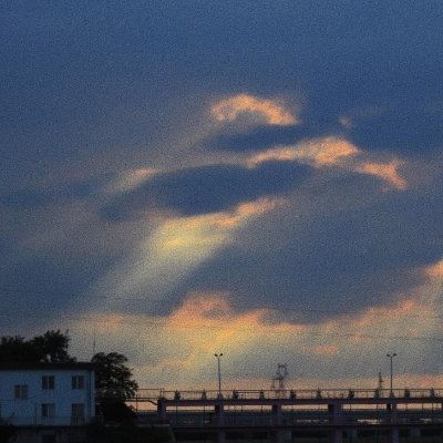 anpl58162695's profile picture. 