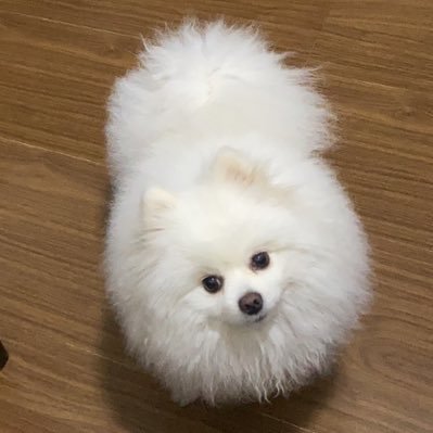 RANDOM_✨☁️さんのプロフィール画像