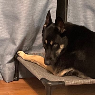 kaylace07's profile picture. buncha crunch enthusiast