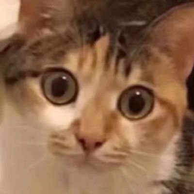 Yinya银涯さんのプロフィール画像