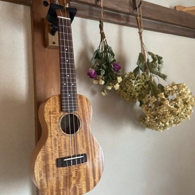 lelekopineapple's profile picture. 2022年2月にウクレレを始めて、音楽用アカ作りました。無言フォロー失礼します。ギター🎸も弾きたい