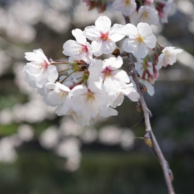 写真用アカウント。練習中です。主に佐賀の風景を撮っています