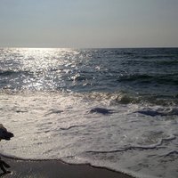 Bernd Berkhahn (@berndberkhahn) 's Twitter Profile