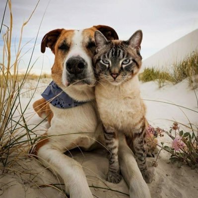 LukeMarcuz14's profile picture. We are not done yet.! We are just tired!!! badminton 🏸 traveler✈️🚀 explorer 🧩🎭