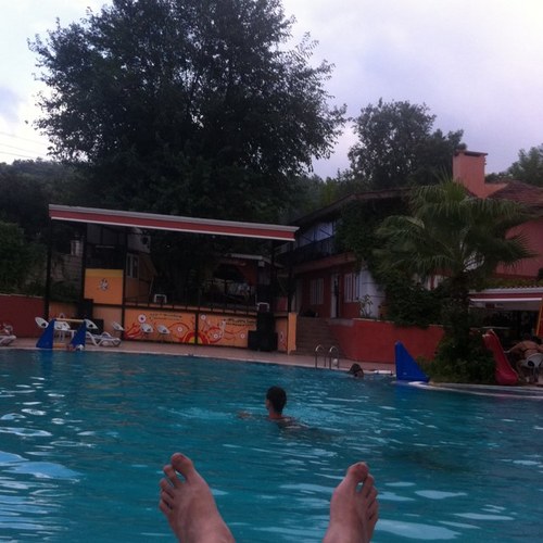 vgilevskij's profile picture. 