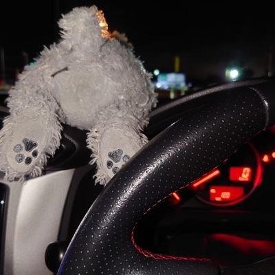 BRZとCRESTA愛好家🚗
/ライトチューンのBRZ乗り
/走り屋さんから 車の知識と、純粋なMTのドラテクを教えていただきたい!よろしくお願い致します/介護士 / 舞台役者・洋楽カバーシンガー
あーちゃん🐩&ツヴァイ🐩&むぅちゃん🐇&そーちゃん🦦&たまに くーちゃん🐩