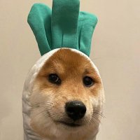 ˙¯˙ııuɐԀᴿᵃⁱⁿʸ (@bllue__moon) 's Twitter Profile