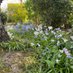 Sue Plater (@sue_plater) Twitter profile photo Sue Plater (@sue_plater) Twitter profile photo