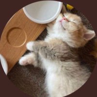 PrayTikky (@praytikky) 's Twitter Profile Photo PrayTikky (@praytikky) 's Twitter Profile Photo