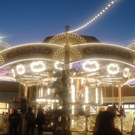 shiro_1589's profile picture. 文芸4年