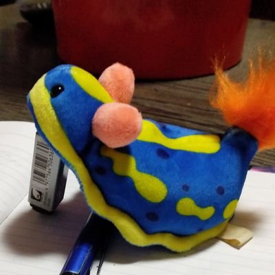 spindle1987's profile picture. ITF23 情報科学類、ELLなど