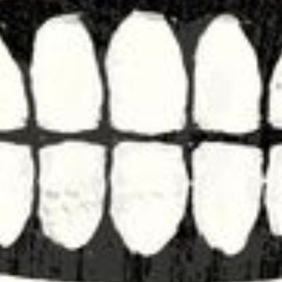 NocabBacon's profile picture. 💍