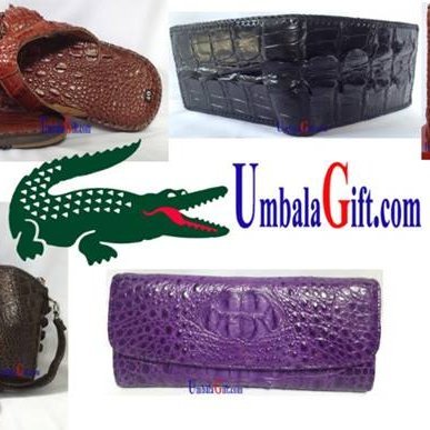 umbalagift12's profile picture. TCRO CROCODILE MANUFACTURER are manufacturer of genuine crocodile leather , ostrich & python products in Vietnam. Our website is https://t.co/nsWtGKJYDg