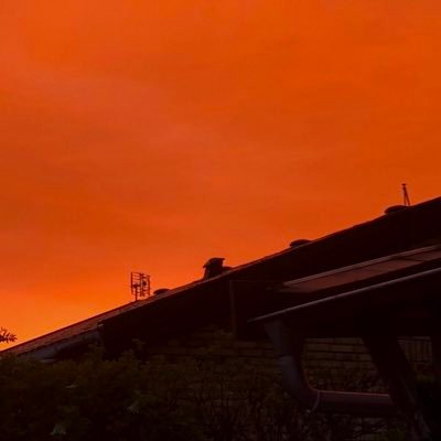 ner_d4's profile picture. Hello world!