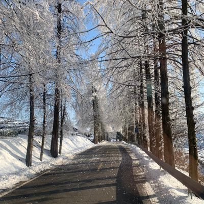 jians92's profile picture. Strong