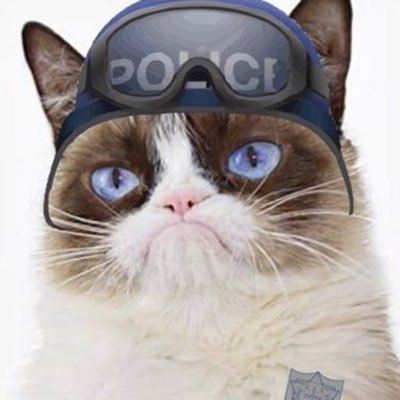 policial_gato Profile Picture