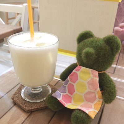 4月から2年目/小学校/推しが癒し😌💛/幼小免許取得/4→2 #初任者