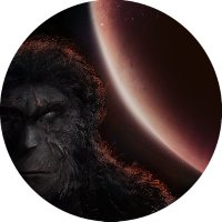 StarApe (@playstar_ape) Twitter profile photo