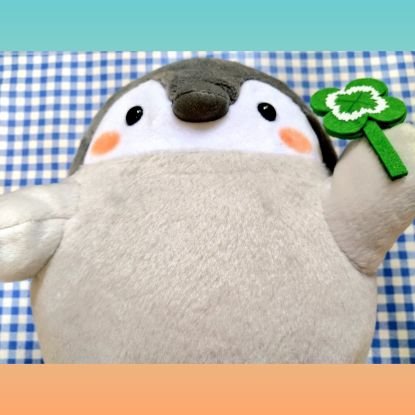 のすけさんのプロフィール画像