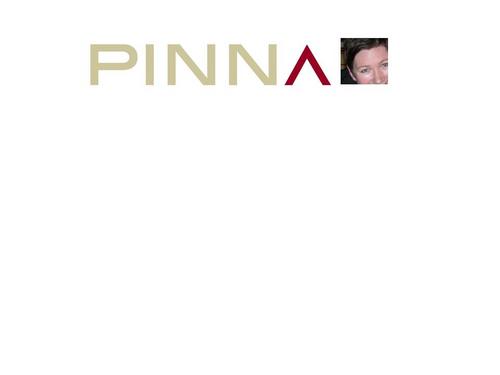 PINNA are change catalysts in Lancashire. Performance focused, working in intense short sessions helping you to maximise people's potential & make change stick!