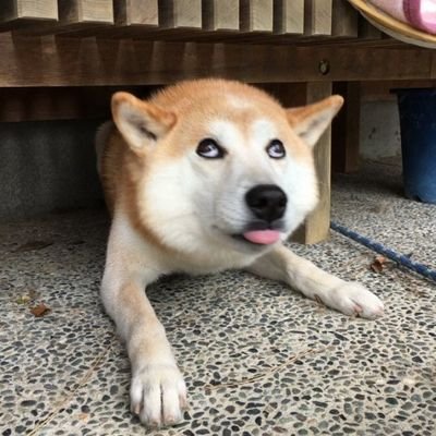 UMPCしか勝たん