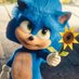 Blue Sonic (@bluesonicc1) Twitter profile photo Blue Sonic (@bluesonicc1) Twitter profile photo