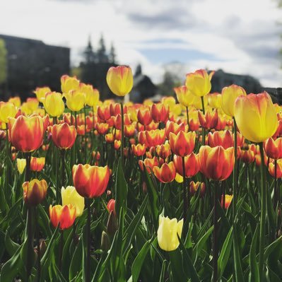 C_Dunlop1's profile picture. Lawyer, runner & dachshund adopter. Powered by strong coffee & Ontario wine. Retweet = interest, not endorsement.