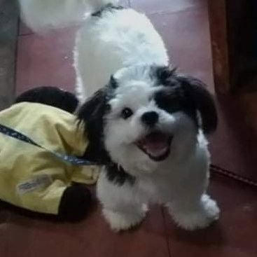 LaraCroft007_'s profile picture. share love ... acquire love.....