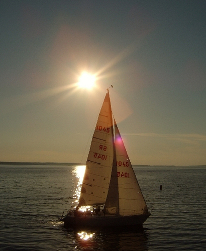 Guliphone's profile picture. 