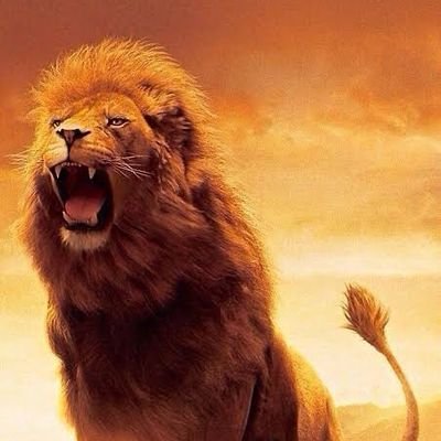 dasanoop9's profile picture. 