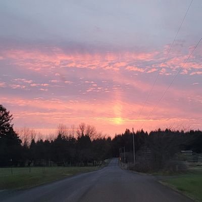 Tamtaz5's profile picture. 