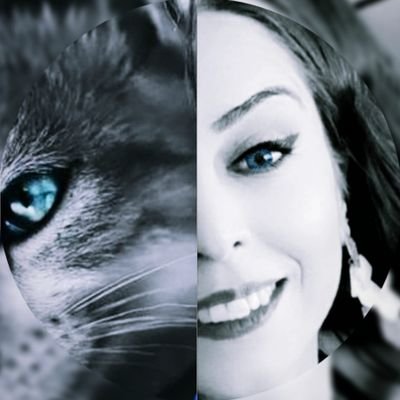 ilgimcann's profile picture. I WAS BORN TO RUN,
I DON'T BELONG TO  ANYONE!!

Yedek Hesap @ilgimcankii