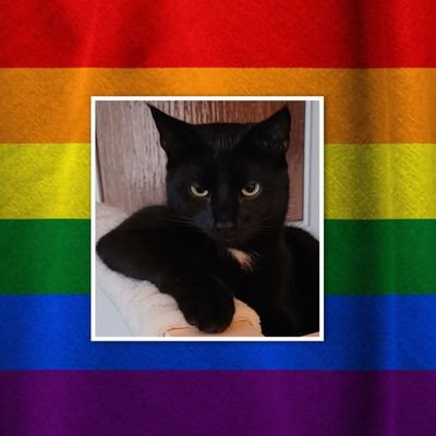Meine Welt ist bunt und passt in keine Schublade. 🏳️‍🌈 Reaktionsfetischistin. She/sie/hän. Katzenmensch. Rakastan suomi - Finnland verliebt. #queer #LGBTQ+
