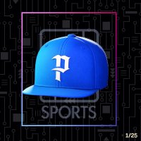 PG Sports NFT - SOLD OUT 💯 (@pgsportsnft) 's Twitter Profile