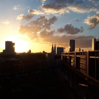 unknown_fan19's profile picture. my mood depends way to much on 🏎 & ⚽️ || effzeh || bvb || f1 || f2 ⁸ ²⁴ || fe || 1D || 🌈 reality ruined my life  》》》》