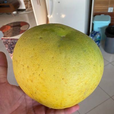 editor_guest's profile picture. Web3 content creator | InfoFI/SocialFI researcher | believer in crypto | Learning mode ON always.