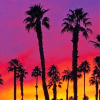 AlexDaGraate (@almstprfct) Twitter profile photo