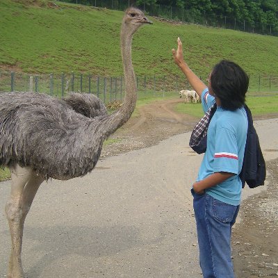 amiboshi2000's profile picture. この広い空の下で　今君はなにしてるの? — 7!! (seven oops)