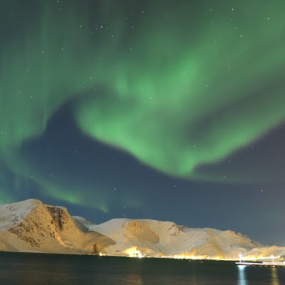 Arctic2Aurora's profile picture. 