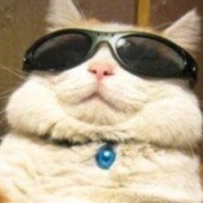 wdaymaykid Profile Picture