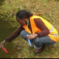 Dr. Anna Mahulu (@amahulu) Twitter profile photo