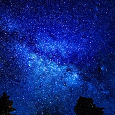 Night_Pixie's profile picture. 