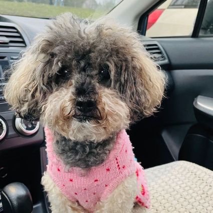 atmanYu's profile picture. I hope that when I return, I can be as pure as when I came to earth.