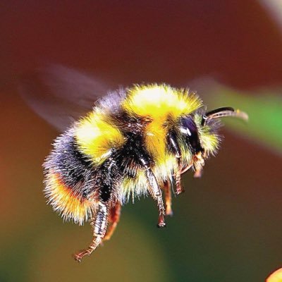 colourchemistry's profile picture. «Ещё не существовало на свете такой тирании, которой бы не пришёл конец». Эрих Мария Ремарк (1898-1970).