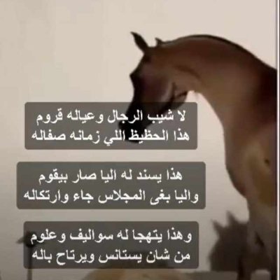 احترام الاخرين والسفر وركووووب الخيووو ووول الاصيل